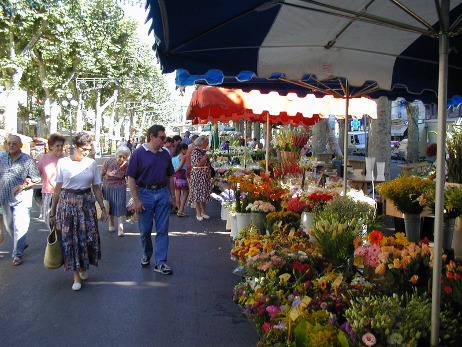 Fresh flowers and plants stall in Béziers Friday market