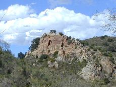 Wild Corbières