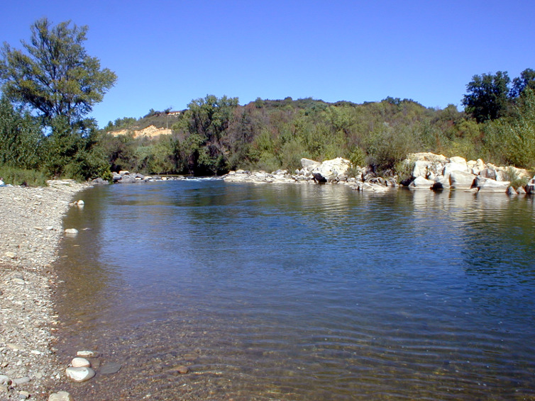 River Orb Swimming